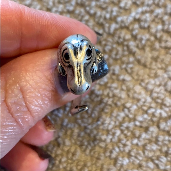 Dinosaur ring - Picture 3 of 6